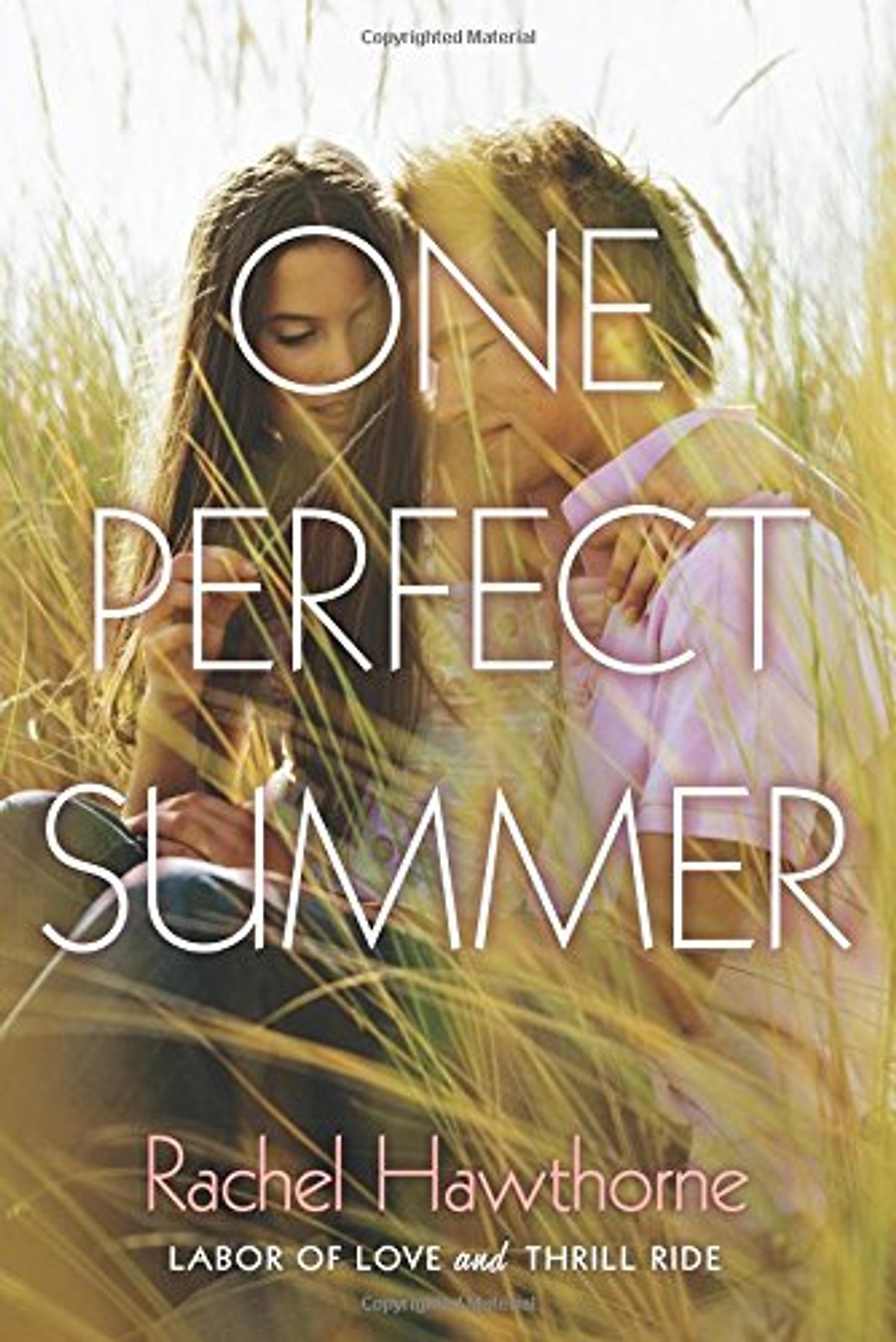 One Perfect Summer